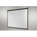 celexon 1090041 - Motorisiert - 12 cm - 12 cm - 16:9 - Schwarz - Weiß