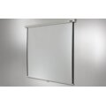 celexon Rollo Professional - Manuell - 4,24 m (167") - 2,9 m - 2,9 m - 1:1 - Weiß
