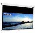 celexon 1090060 - 16:9 - Schwarz - Weiß