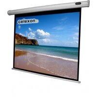 celexon 1090075 - 4:3 - Schwarz - Weiß
