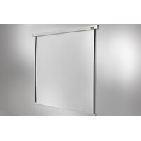 celexon Leinwand Motor Professional 120 x 120 cm