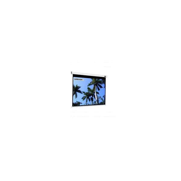 celexon Professional 300x300cm - Motorisiert - 2,9 m - 2,9 m - 1:1 - Weiß