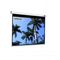 celexon Professional 300x300cm - Motorisiert - 2,9 m -...
