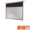 celexon 1090100 - 16:9 - Schwarz - Weiß