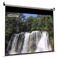 celexon Leinwand Motor HomeCinema 160 x 120 cm