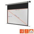 celexon 1090120 - 16:9 - Schwarz - Grau - Weiß