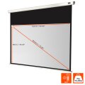 celexon 1090250 - 16:9 - Schwarz - Weiß