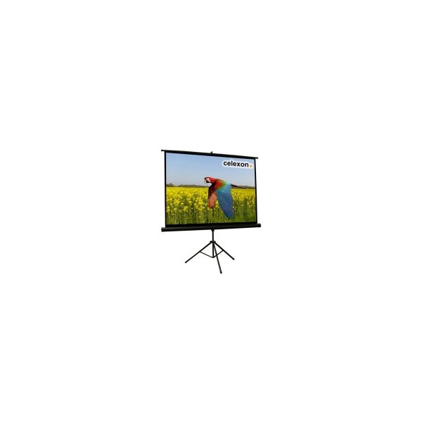 celexon Economy tripod screen - Projektionsbildschirm mit Stativ - 166 cm ( 66 Zoll )