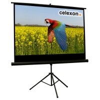 celexon Stativleinwand Economy 158 x 89 cm