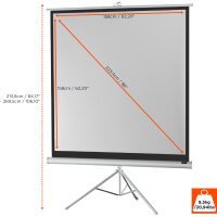 celexon Economy tripod screen - Projektionsbildschirm mit Stativ - 223 cm (88 Zoll)