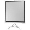 celexon Economy tripod screen - Projektionsbildschirm mit Stativ - 223 cm (88 Zoll)