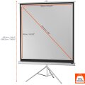 celexon Economy tripod screen - Projektionsbildschirm mit Stativ - 223 cm (88 Zoll)