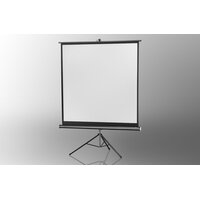 celexon Stativleinwand Economy 244 x 244 cm - White Edition