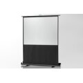 celexon 1090367 - Manuell - 174 cm - 98 cm - 16:9 - Schwarz - Weiß