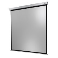 celexon Leinwände 16:9 Motorleinwand - 254 cm (100")