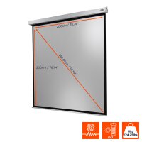 celexon Leinwand Motor Professional Plus 200 x 200 cm