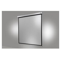 celexon Leinwand Rollo Professional Plus 240 x 240 cm