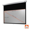 celexon Professional Plus - 2200 x 1240 mm