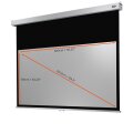 celexon Professional Plus - 2800 x 1580 mm