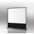 celexon 1091791 - Manuell - 122 cm - 196 cm - 16:10 - Schwarz - Weiß