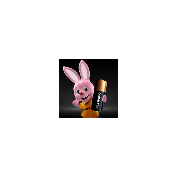 Duracell Security MN21 - Batterie für Autodiebstahlsicherung 2 Stück 3LR50 Alkalisch 33 mAh