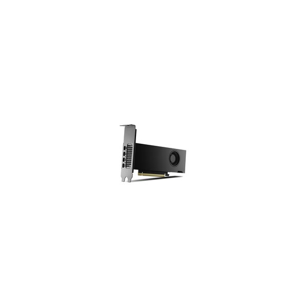PNY nVidia RTX 2000 Ada Generation - Grafikkarte - PCI-Express