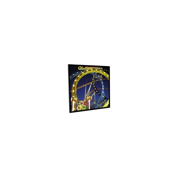 Medium Frame Budget type D - Leinwand - 300 cm ( 118 Zoll )