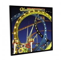 Medium Frame Budget type D - Leinwand - 300 cm ( 118 Zoll )