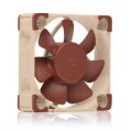Noctua NF A4x10 5V PWM - Ventilator - 4 cm - 1000 RPM - 5000 RPM - 19,6 dB - 8,9 m³/h
