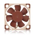 Noctua NF A4x10 5V PWM - Ventilator - 4 cm - 1000 RPM - 5000 RPM - 19,6 dB - 8,9 m³/h