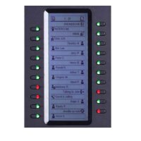 Grandstream GXP2200EXT - Schwarz - 20 Tasten - GXP2140 - GXP2170 and GXV3240 - 206 x 117 x 32 mm - 380 g
