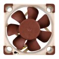 Noctua NF-A4x10 5V - Ventilator - 4 cm - 4500 RPM - 17,9 dB - 8,2 m³/h - Beige - Braun