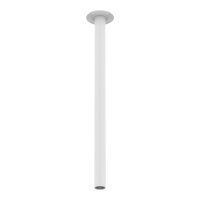 Kingston Ceiling Mount