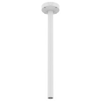 Kingston Ceiling Mount