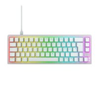 Cherry Keyboard Xtrfy K5V2 RGB Compact Gaming MX2A RED[DE] white+++ kompaktes 65%-Format