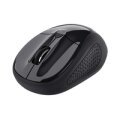 Trust 24658 - Beidhändig - Optisch - RF Wireless - 1600 DPI - Schwarz