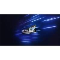 Kingston FURY 16GB 7200MT/s DDR5 CL38 DIMM Renegade Silber XMP, 16 GB, 1 x 16 GB, DDR5, 288-pin DIMM