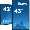 Iiyama ProLite LH4365UHSB-B1 - 43" Diagonalklasse - Flachbildschirm (TFT/LCD) - 108 cm