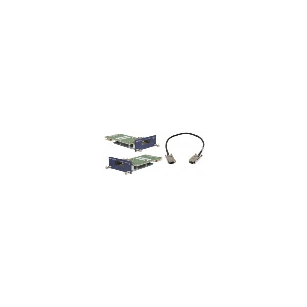 Netgear ProSafe AX742 - Switch - Kupferdraht, Glasfaser (LWL) 24 Gbps - Plug-In Modul