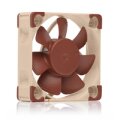 Noctua NF-A4x10 PWM - 5.000 rpm - 24 V