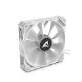 Sharkoon Lüfter 120*120*25 Rebel F50 PWM ARGB weiß - Gehäuse-Lüfter - 600 rpm