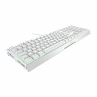 Cherry Xtrfy MX 3.1 RGB WHITE Tastatur - Tastatur - QWERTZ