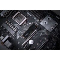 Crucial P3, 4 TB, M.2, 3500 MB/s