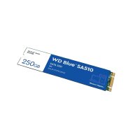 WD Blue SA510 - 250 GB - M.2 - 555 MB/s - 6 Gbit/s