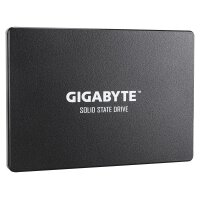 Gigabyte GP-GSTFS31256GTND, 256 GB, 2.5", 520 MB/s, 6 Gbit/s