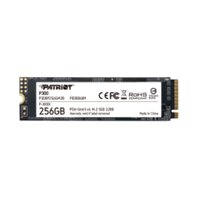PATRIOT Memory P300P256GM28, 256 GB, M.2