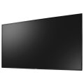 AG Neovo PD-65Q 165.1cm 65" LED black Speditionsversand