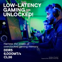 Crucial Pro Overclocking - 32 GB - DDR5