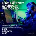 Crucial Pro Overclocking - 32 GB - DDR5