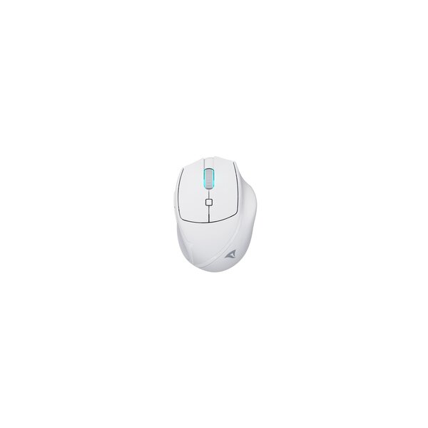Sharkoon OfficePal M25W weiß - Maus - Maus - 4.000 dpi